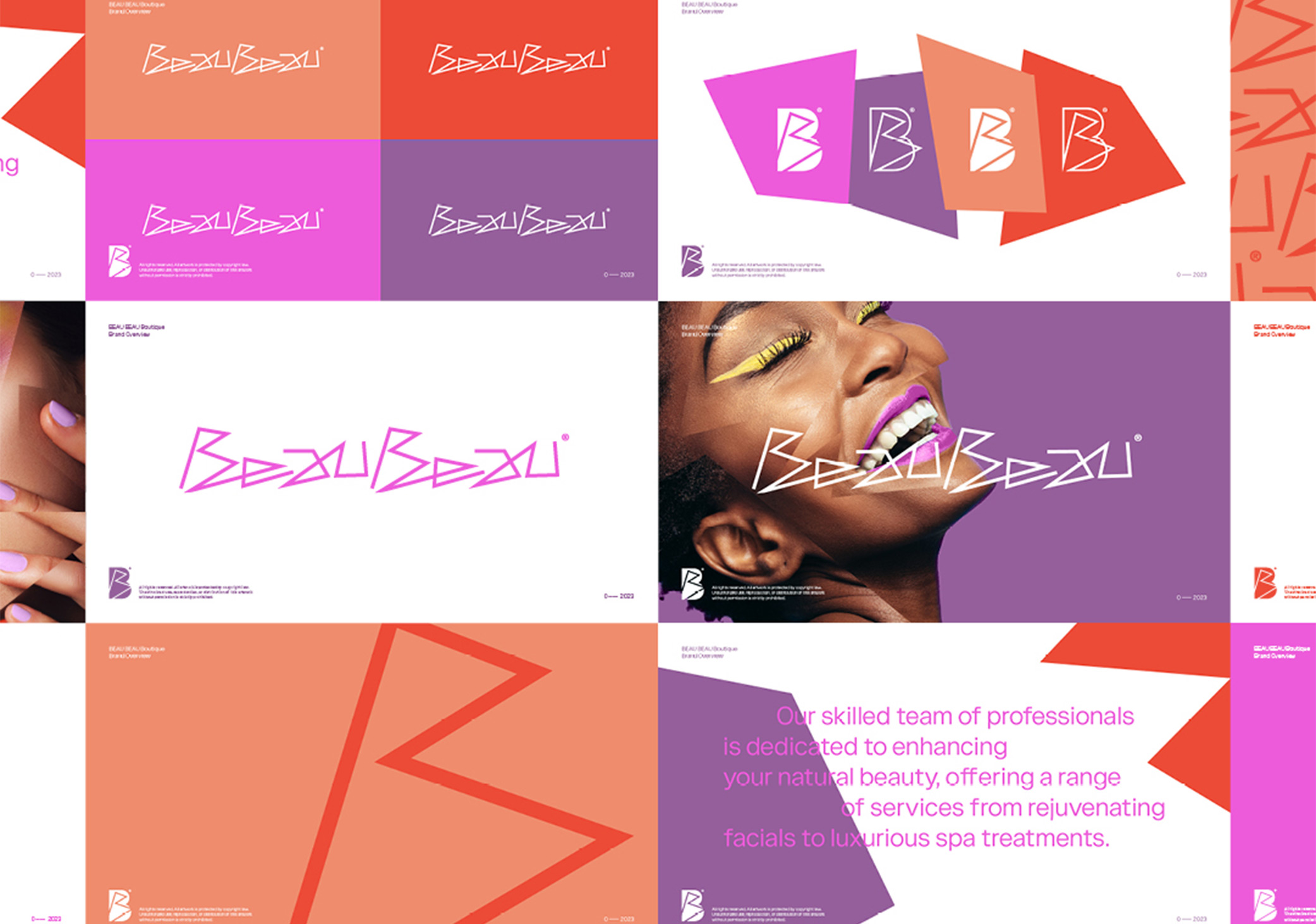 Brand guidelines overview with branding elements, colour palettes, imagery and icons for Beau Beau